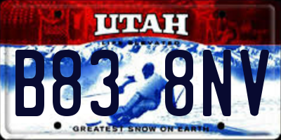 UT license plate B838NV