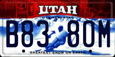 UT license plate B838OM
