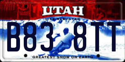 UT license plate B838TT