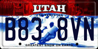 UT license plate B838VN