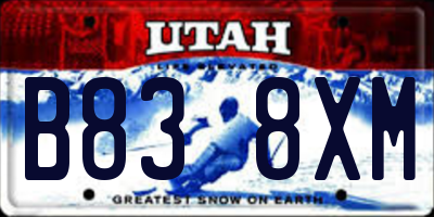 UT license plate B838XM