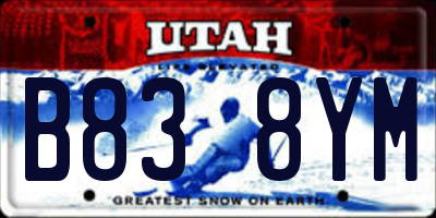 UT license plate B838YM
