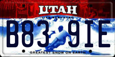 UT license plate B839IE