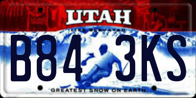 UT license plate B843KS