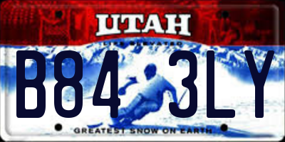 UT license plate B843LY