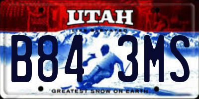 UT license plate B843MS