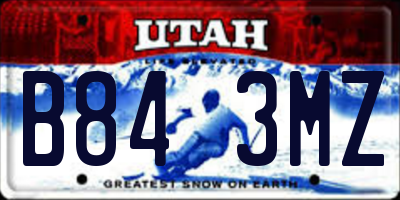 UT license plate B843MZ