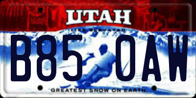UT license plate B850AW