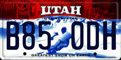 UT license plate B850DH