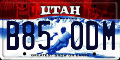 UT license plate B850DM