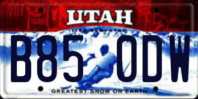 UT license plate B850DW