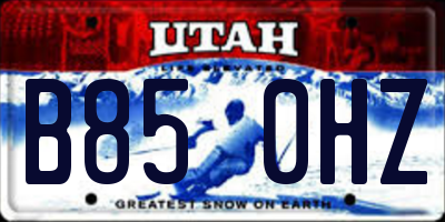 UT license plate B850HZ