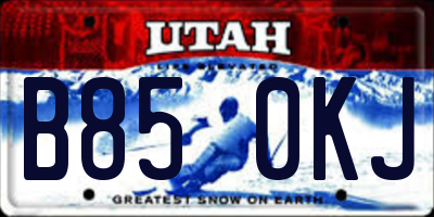 UT license plate B850KJ