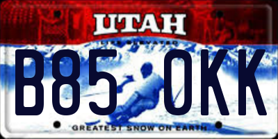 UT license plate B850KK