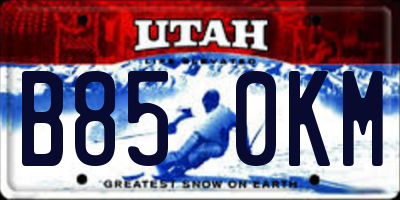 UT license plate B850KM