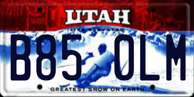 UT license plate B850LM