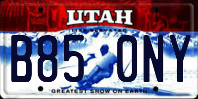UT license plate B850NY