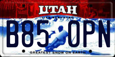 UT license plate B850PN
