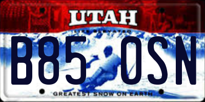 UT license plate B850SN