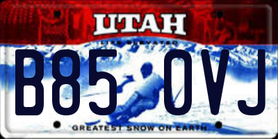 UT license plate B850VJ