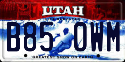 UT license plate B850WM
