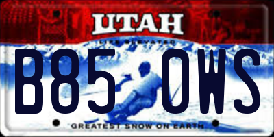 UT license plate B850WS