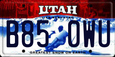 UT license plate B850WU