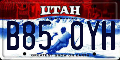 UT license plate B850YH