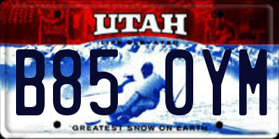 UT license plate B850YM