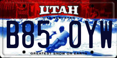 UT license plate B850YW