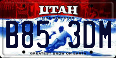 UT license plate B853DM