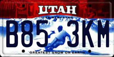 UT license plate B853KM
