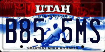 UT license plate B855MS