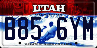 UT license plate B856YM