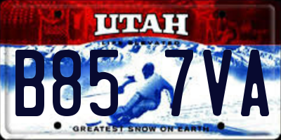 UT license plate B857VA