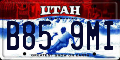 UT license plate B859MI