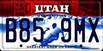 UT license plate B859MX