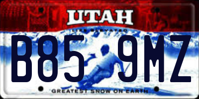 UT license plate B859MZ