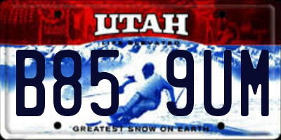 UT license plate B859UM