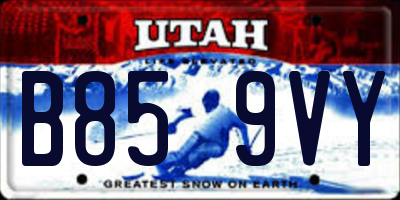 UT license plate B859VY