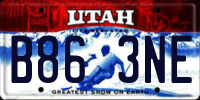 UT license plate B863NE