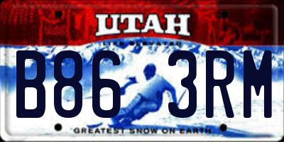 UT license plate B863RM