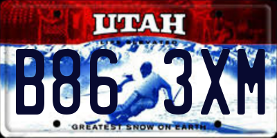 UT license plate B863XM
