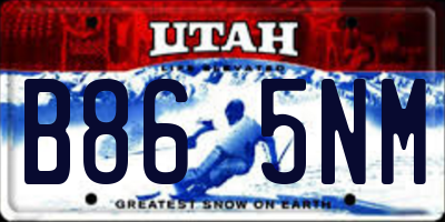 UT license plate B865NM