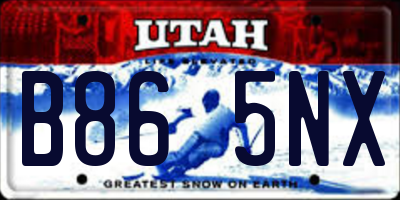 UT license plate B865NX