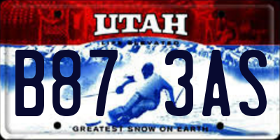UT license plate B873AS