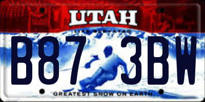 UT license plate B873BW