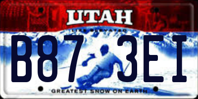 UT license plate B873EI