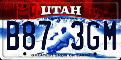 UT license plate B873GM