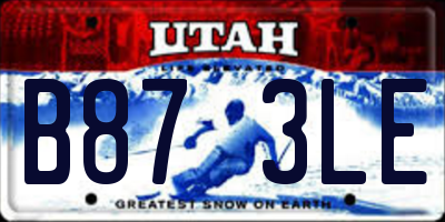 UT license plate B873LE